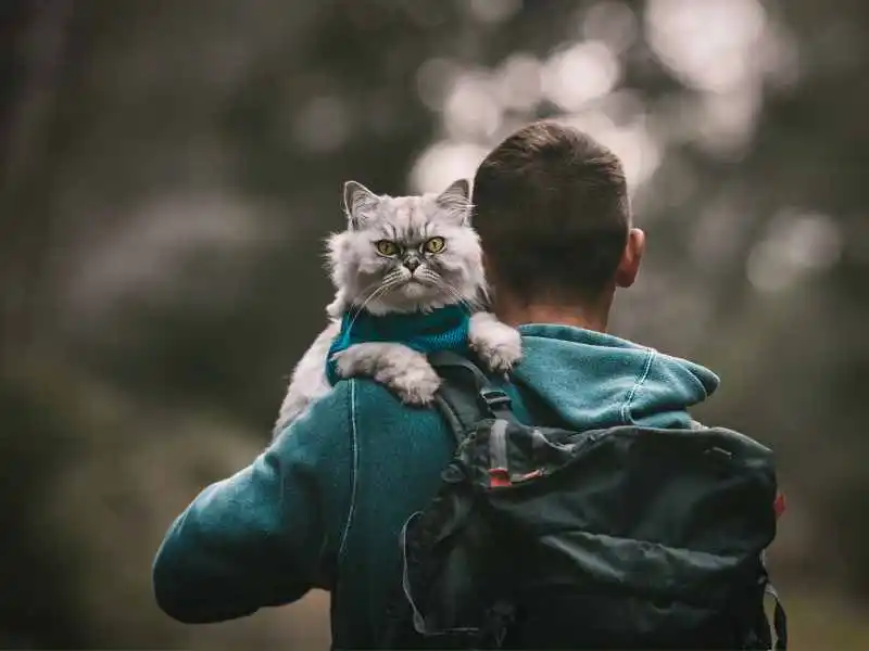 a man holding a big cat