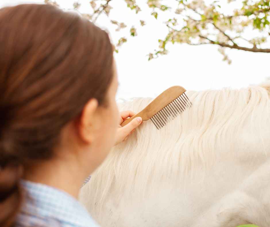 Can horses feel their mane