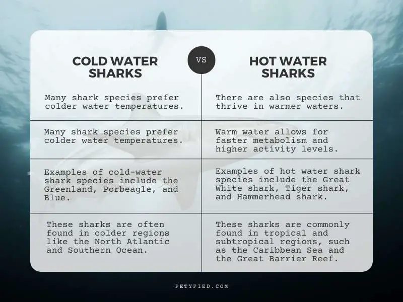 Cold Water Sharks vs Hot Water Sharks - Comparison Table