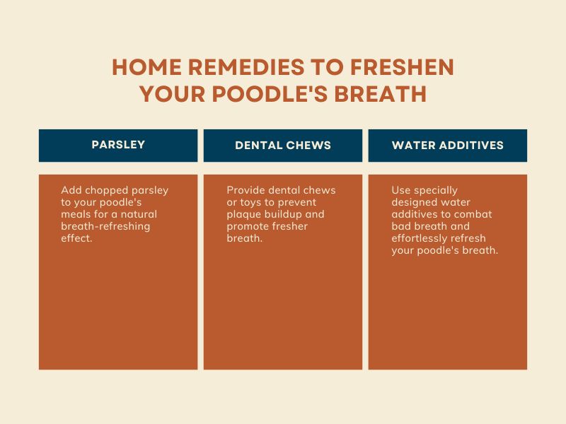 Home remedies to freshen your poodle's breath - infographic