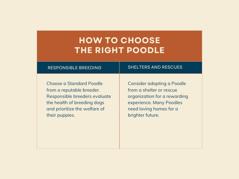 How to choose the right Poodle - Infographic