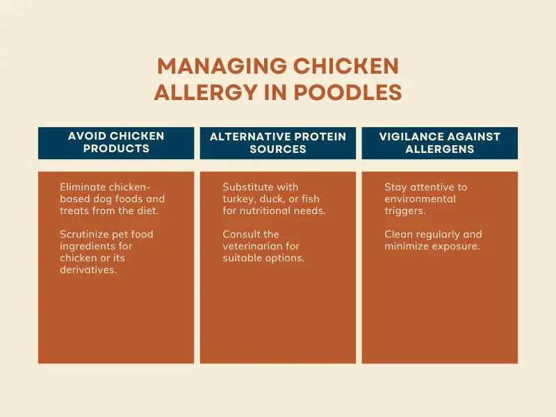 Managing Chicken Allergy in Poodles - Infographic