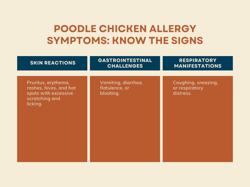 Poodle Chicken Allergy Symptoms - Infographic