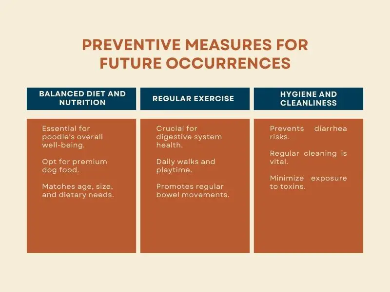 Preventive Measures for Future Occurrences - Infographics